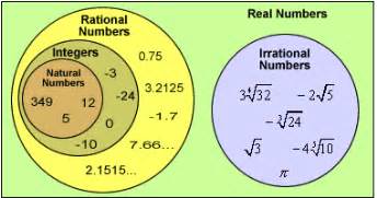 Graph on types of numbers